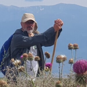 Sedat Çakır